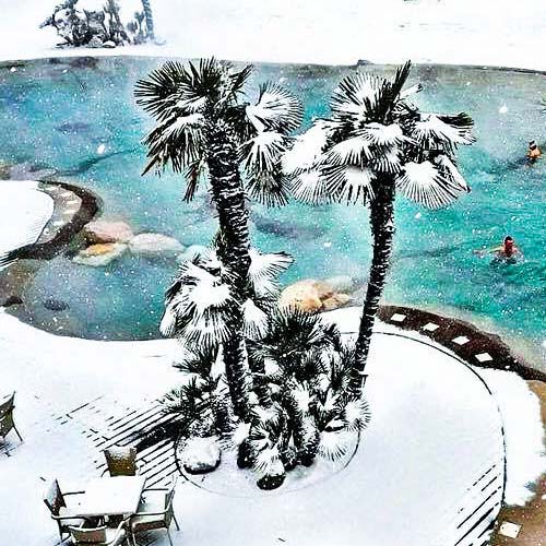 beach-sculpted-pool-winter-snow